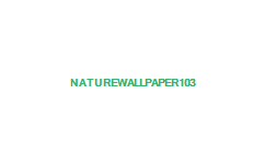 wallpaper vista nature. Nature Wallpaper 103