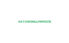 wallpapers nature. Nature Wallpaper 276