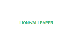 wallpapers lion. Lion Wallpaper